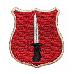 Military Patches - Portfolio Military Patches - Portfolio